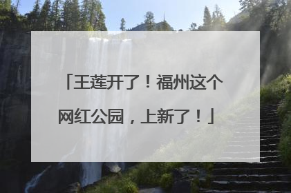 王莲开了！福州这个网红公园，上新了！