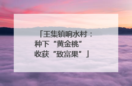 王集镇响水村：种下“黄金桃” 收获“致富果”
