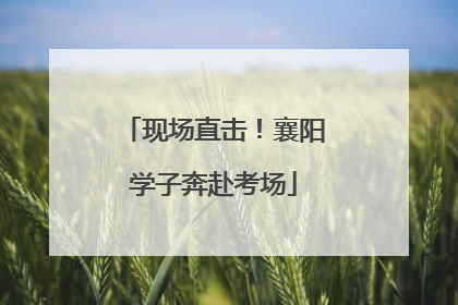 现场直击！襄阳学子奔赴考场
