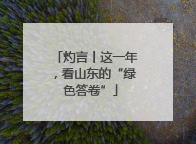 灼言丨这一年，看山东的“绿色答卷”