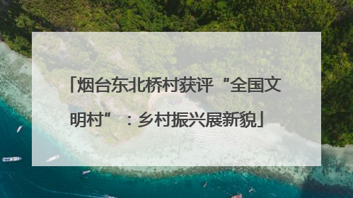 烟台东北桥村获评“全国文明村”：乡村振兴展新貌