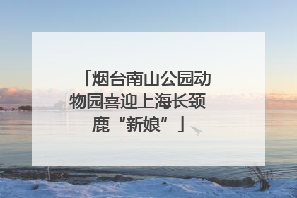烟台南山公园动物园喜迎上海长颈鹿“新娘”