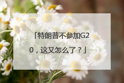 特朗普不参加G20，这又怎么了？