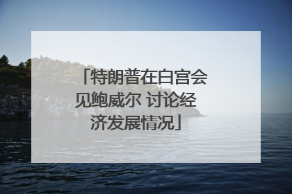 特朗普在白宫会见鲍威尔 讨论经济发展情况