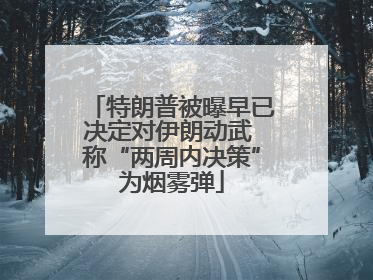 特朗普被曝早已决定对伊朗动武 称“两周内决策”为烟雾弹