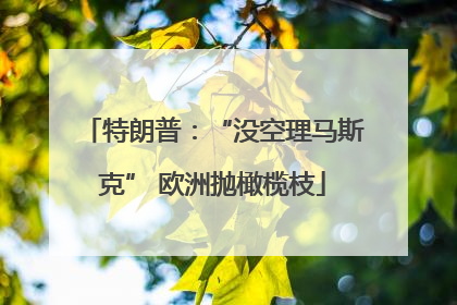 特朗普：“没空理马斯克” 欧洲抛橄榄枝
