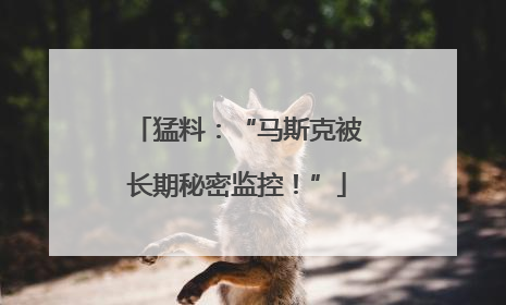 猛料：“马斯克被长期秘密监控！”