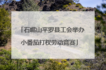 石嘴山平罗县工会举办小番茄打杈劳动竞赛