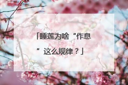 睡莲为啥“作息”这么规律？