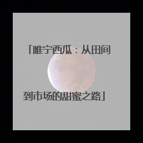 睢宁西瓜：从田间到市场的甜蜜之路