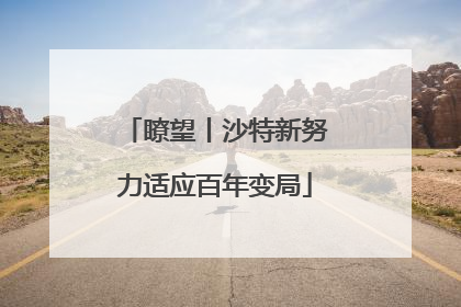 瞭望丨沙特新努力适应百年变局