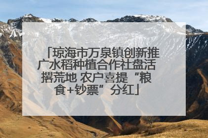 琼海市万泉镇创新推广水稻种植合作社盘活撂荒地 农户喜提“粮食+钞票”分红
