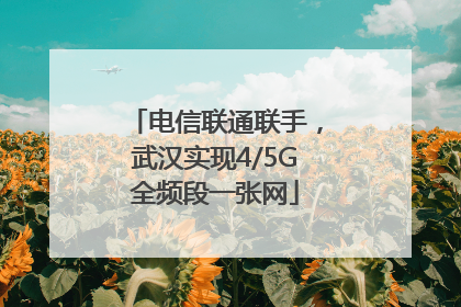 电信联通联手，武汉实现4/5G全频段一张网