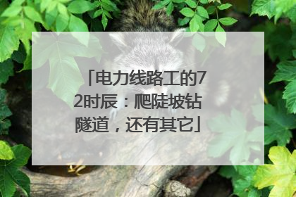 电力线路工的72时辰：爬陡坡钻隧道，还有其它