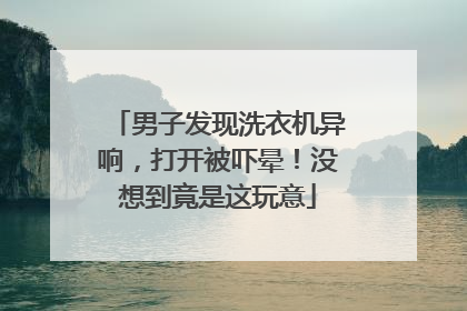 男子发现洗衣机异响，打开被吓晕！没想到竟是这玩意