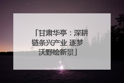 甘肃华亭：深耕链条兴产业 逐梦沃野绘新景