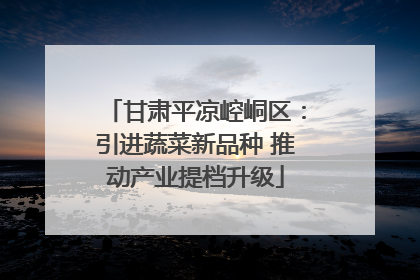 甘肃平凉崆峒区：引进蔬菜新品种 推动产业提档升级