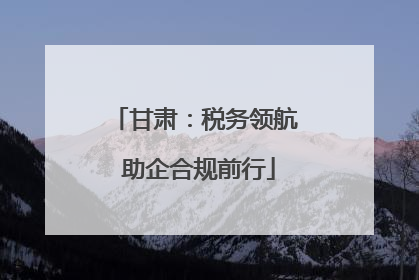 甘肃：税务领航 助企合规前行