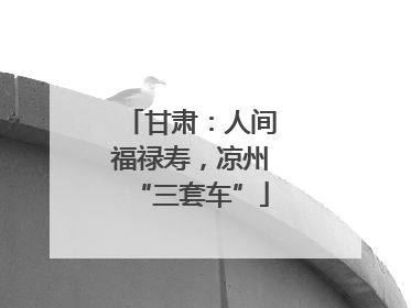 甘肃：人间福禄寿，凉州“三套车”