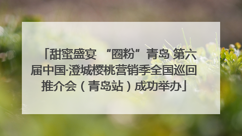 甜蜜盛宴 “圈粉”青岛 第六届中国·澄城樱桃营销季全国巡回推介会（青岛站）成功举办