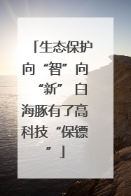 生态保护向“智”向“新” 白海豚有了高科技“保镖”