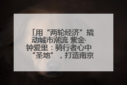 用“两轮经济”撬动城市潮流 紫金·钟爱里：骑行者心中“圣地”，打造南京的“阿那亚”