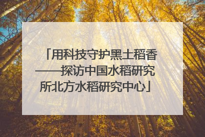 用科技守护黑土稻香——探访中国水稻研究所北方水稻研究中心