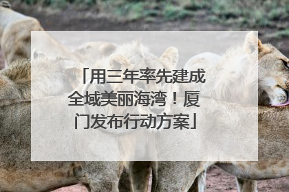 用三年率先建成全域美丽海湾！厦门发布行动方案