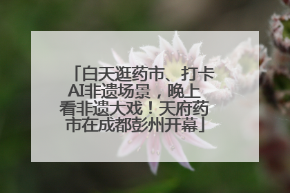 白天逛药市、打卡AI非遗场景，晚上看非遗大戏！天府药市在成都彭州开幕
