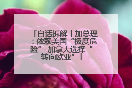 白话拆解丨加总理：依赖美国“极度危险” 加拿大选择“转向欧亚”