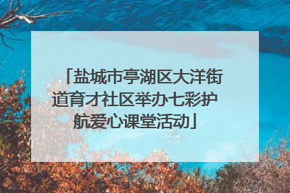 盐城市亭湖区大洋街道育才社区举办七彩护航爱心课堂活动