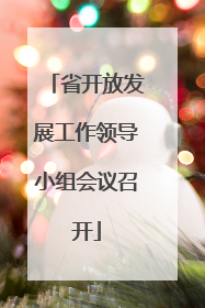 省开放发展工作领导小组会议召开