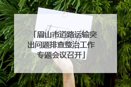 眉山市道路运输突出问题排查整治工作专题会议召开