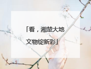 看，湘楚大地文物绽新彩