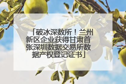破冰深数所！兰州新区企业获得甘肃首张深圳数据交易所数据产权登记证书
