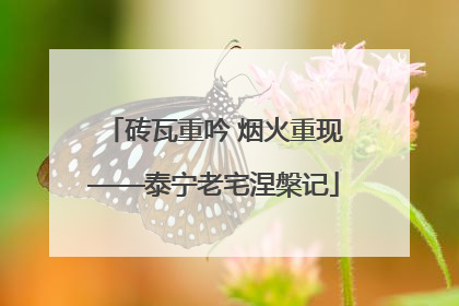 砖瓦重吟 烟火重现——泰宁老宅涅槃记