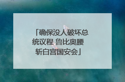 确保没人破坏总统议程 鲁比奥腰斩白宫国安会