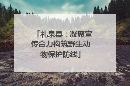 礼泉县：凝聚宣传合力构筑野生动物保护防线
