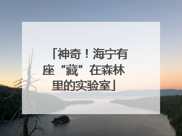 神奇！海宁有座“藏”在森林里的实验室