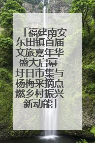 福建南安东田镇首届文旅嘉年华盛大启幕 圩日市集与杨梅采摘点燃乡村振兴新动能