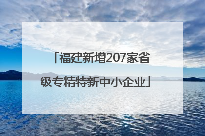 福建新增207家省级专精特新中小企业
