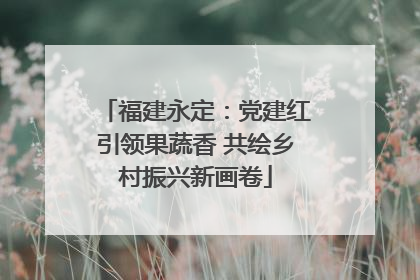 福建永定：党建红引领果蔬香 共绘乡村振兴新画卷