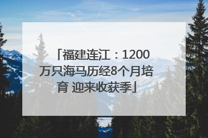 福建连江：1200万只海马历经8个月培育 迎来收获季