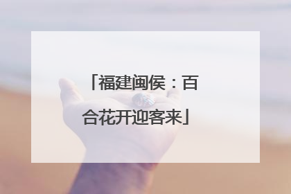 福建闽侯：百合花开迎客来