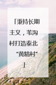 秉持长期主义，苇沟村打造泰北“黄精村”