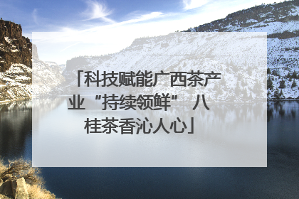科技赋能广西茶产业“持续领鲜” 八桂茶香沁人心
