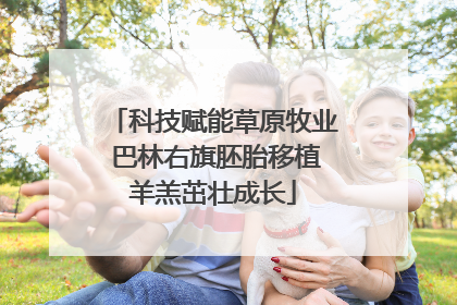 科技赋能草原牧业 巴林右旗胚胎移植羊羔茁壮成长