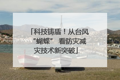 科技铸盾！从台风“蝴蝶” 看防灾减灾技术新突破