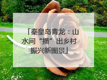 秦皇岛青龙：山水间“播”出乡村振兴新图景