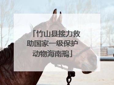 竹山县接力救助国家一级保护动物海南鳽
